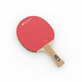 Ping pong paddle on white background